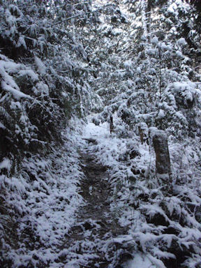 f:id:chuumeikun:20160227062337j:plain