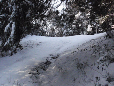 f:id:chuumeikun:20160227062520j:plain