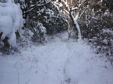 f:id:chuumeikun:20160227062805j:plain