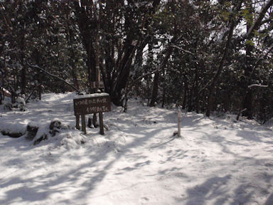 f:id:chuumeikun:20160227062827j:plain