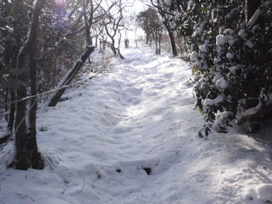 f:id:chuumeikun:20160227063019j:plain