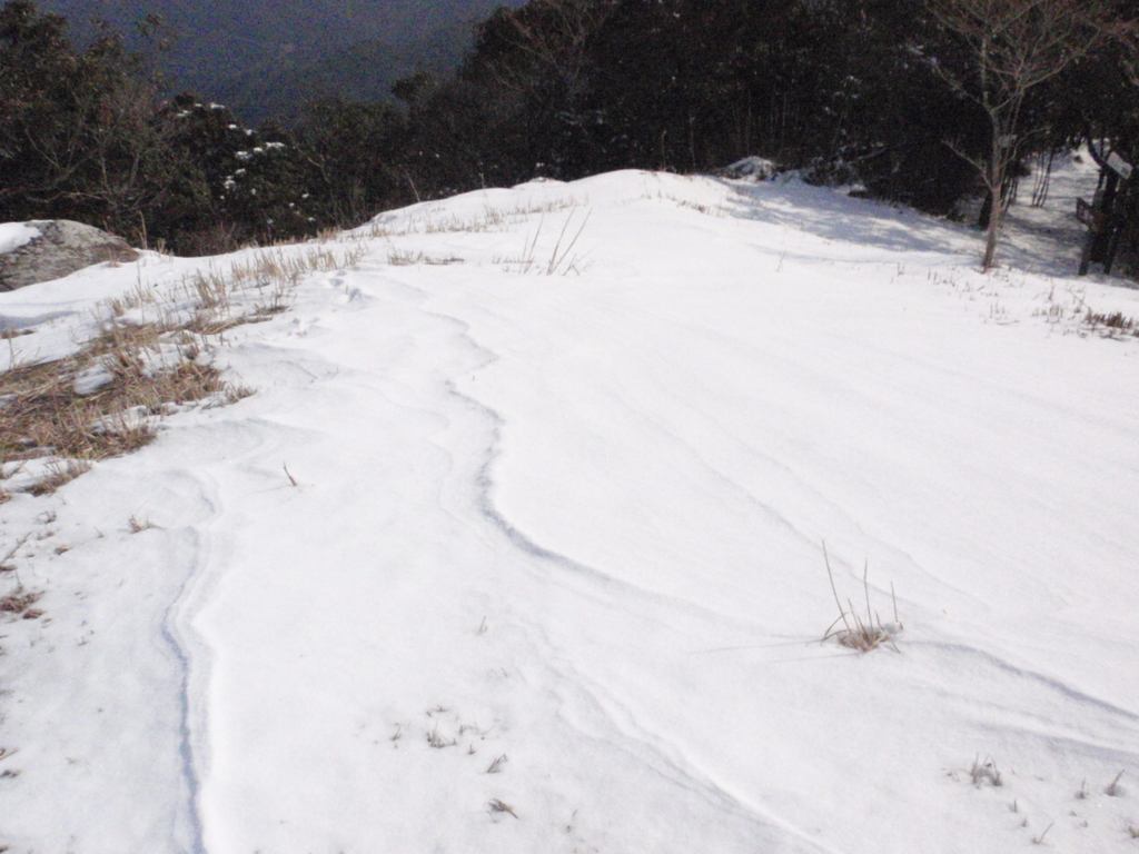 f:id:chuumeikun:20160227064747j:plain