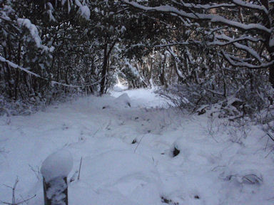 f:id:chuumeikun:20160227065034j:plain