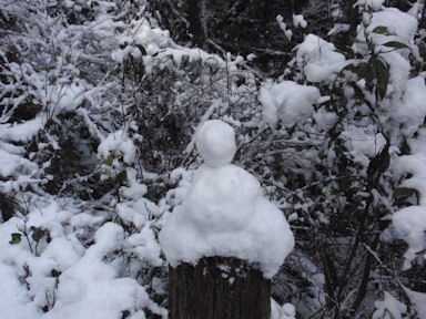 f:id:chuumeikun:20160227065119j:plain