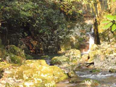 f:id:chuumeikun:20160228045633j:plain f:id:chuumeikun:20160228045633j:plain