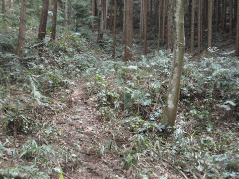 f:id:chuumeikun:20160315123027j:plain f:id:chuumeikun:20160315123027j:plain