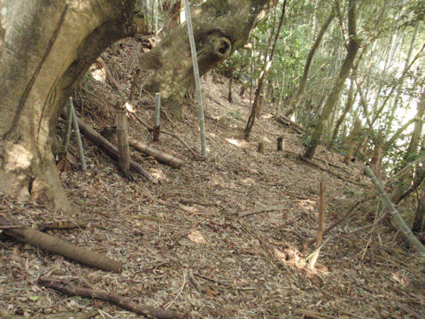 f:id:chuumeikun:20160315125537j:plain f:id:chuumeikun:20160315125537j:plain