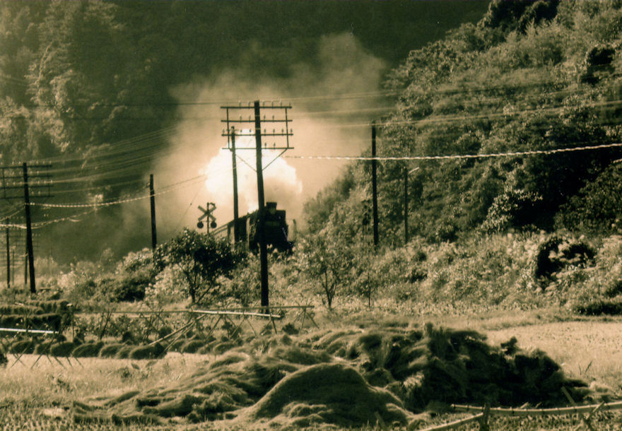 f:id:chuumeikun:20160322034356j:plain