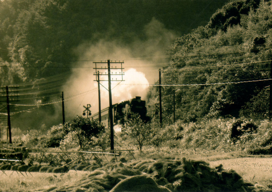 f:id:chuumeikun:20160322034420j:plain