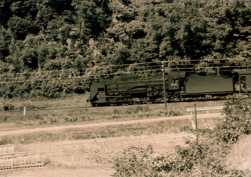 f:id:chuumeikun:20160322034553j:plain