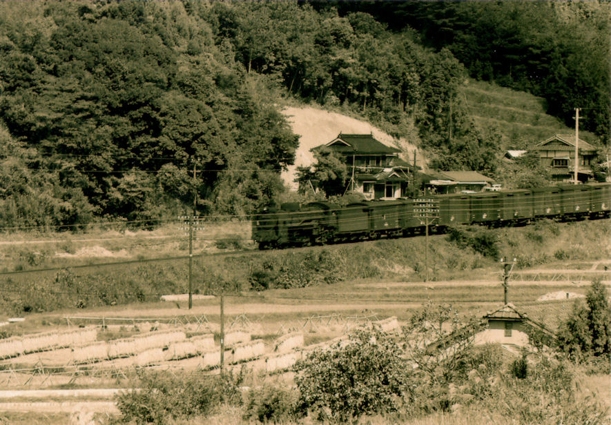 f:id:chuumeikun:20160322034621j:plain