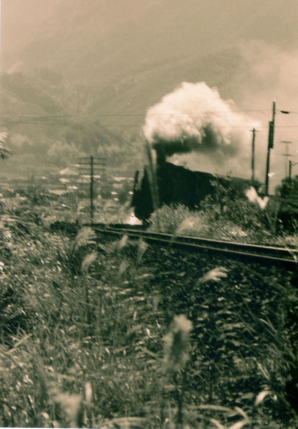 f:id:chuumeikun:20160322034708j:plain