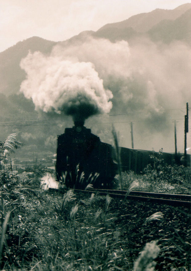 f:id:chuumeikun:20160322034748j:plain