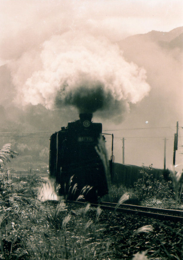 f:id:chuumeikun:20160322034811j:plain