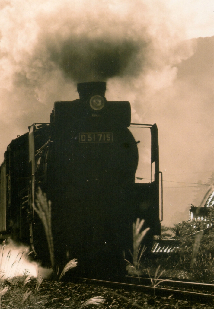 f:id:chuumeikun:20160322034843j:plain