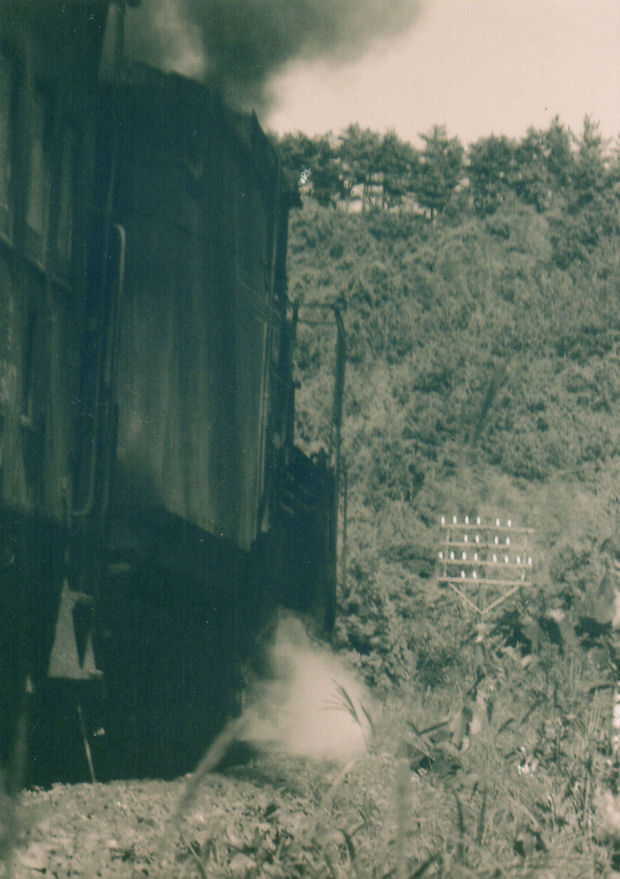 f:id:chuumeikun:20160322035006j:plain