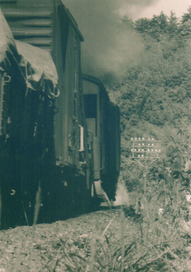 f:id:chuumeikun:20160322035024j:plain