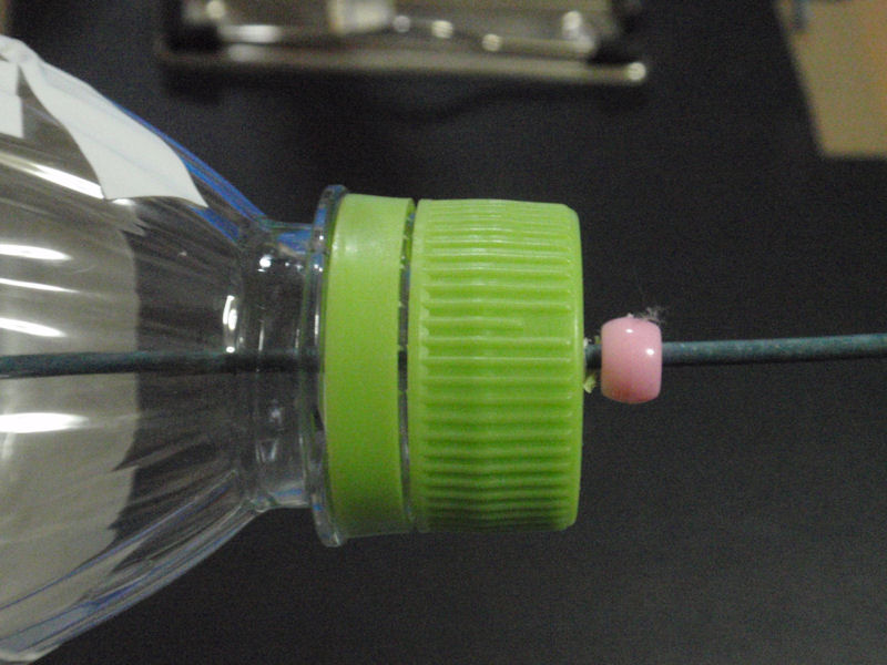 f:id:chuumeikun:20160405004801j:plain f:id:chuumeikun:20160405004801j:plain