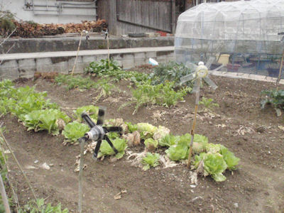 f:id:chuumeikun:20160405005614j:plain f:id:chuumeikun:20160405005614j:plain