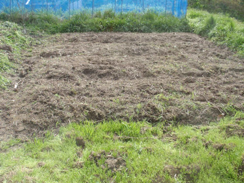 f:id:chuumeikun:20160406035528j:plain f:id:chuumeikun:20160406035528j:plain