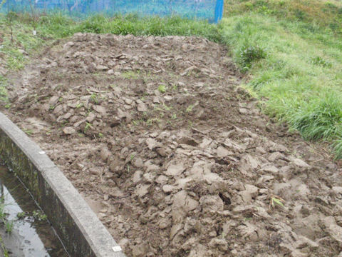 f:id:chuumeikun:20160406035727j:plain f:id:chuumeikun:20160406035727j:plain