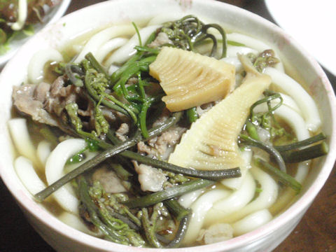 f:id:chuumeikun:20160415011116j:plain f:id:chuumeikun:20160415011116j:plain