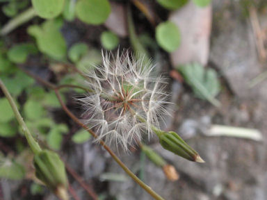 f:id:chuumeikun:20160417022328j:plain f:id:chuumeikun:20160417022328j:plain