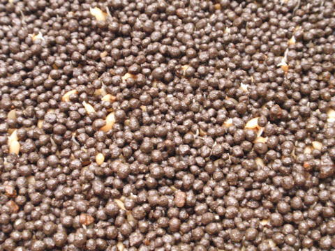 f:id:chuumeikun:20160417023350j:plain f:id:chuumeikun:20160417023350j:plain