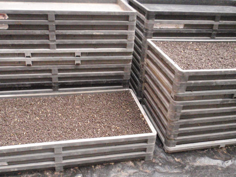 f:id:chuumeikun:20160417023504j:plain f:id:chuumeikun:20160417023504j:plain