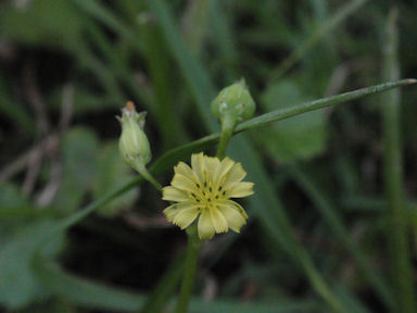 f:id:chuumeikun:20160419041109j:plain f:id:chuumeikun:20160419041109j:plain