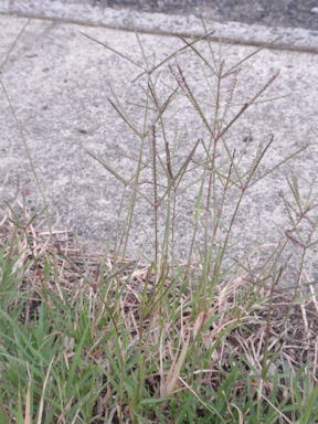 f:id:chuumeikun:20160425030325j:plain f:id:chuumeikun:20160425030325j:plain