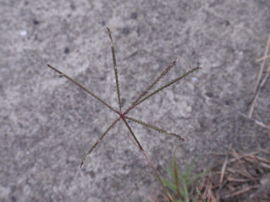 f:id:chuumeikun:20160425030347j:plain f:id:chuumeikun:20160425030347j:plain