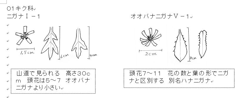 f:id:chuumeikun:20160506023131j:plain f:id:chuumeikun:20160506023131j:plain