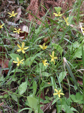 f:id:chuumeikun:20160506023352j:plain f:id:chuumeikun:20160506023352j:plain