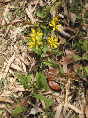 f:id:chuumeikun:20160506024234j:plain f:id:chuumeikun:20160506024234j:plain