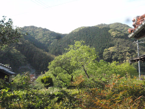 f:id:chuumeikun:20160506030935j:plain f:id:chuumeikun:20160506030935j:plain