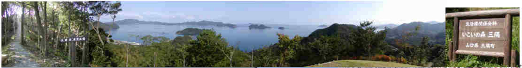 f:id:chuumeikun:20160506031001j:plain f:id:chuumeikun:20160506031001j:plain