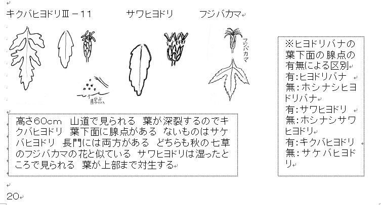 f:id:chuumeikun:20160508043348j:plain f:id:chuumeikun:20160508043348j:plain