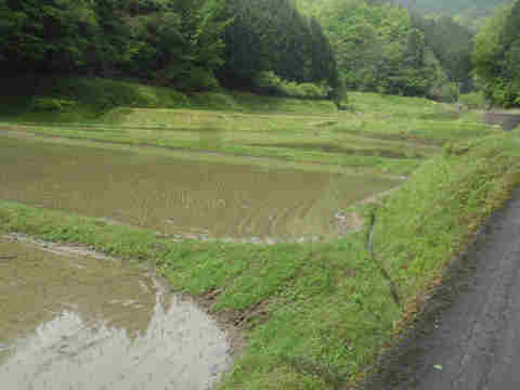 f:id:chuumeikun:20160508051330j:plain f:id:chuumeikun:20160508051330j:plain