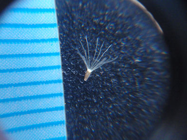 f:id:chuumeikun:20160509040308j:plain f:id:chuumeikun:20160509040308j:plain