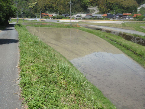 f:id:chuumeikun:20160509041724j:plain f:id:chuumeikun:20160509041724j:plain