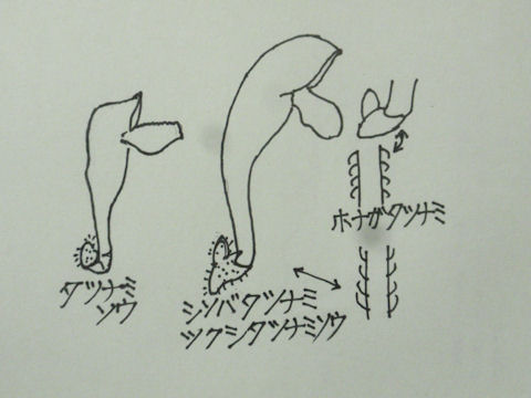 f:id:chuumeikun:20160512003804j:plain f:id:chuumeikun:20160512003804j:plain