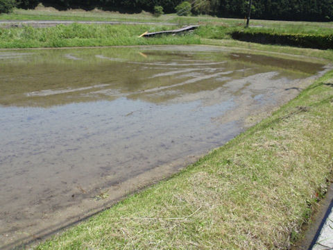 f:id:chuumeikun:20160518032504j:plain f:id:chuumeikun:20160518032504j:plain