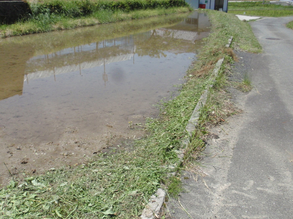 f:id:chuumeikun:20160518032556j:plain f:id:chuumeikun:20160518032556j:plain