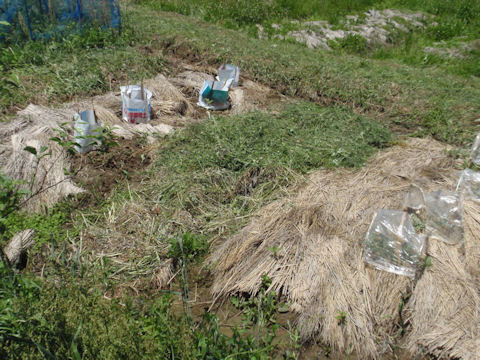 f:id:chuumeikun:20160518032628j:plain f:id:chuumeikun:20160518032628j:plain