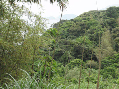 f:id:chuumeikun:20160530050826j:plain f:id:chuumeikun:20160530050826j:plain