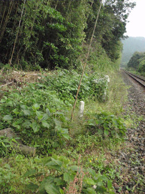 f:id:chuumeikun:20160530051004j:plain f:id:chuumeikun:20160530051004j:plain