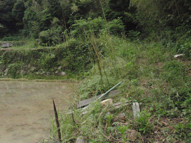 f:id:chuumeikun:20160530051525j:plain f:id:chuumeikun:20160530051525j:plain