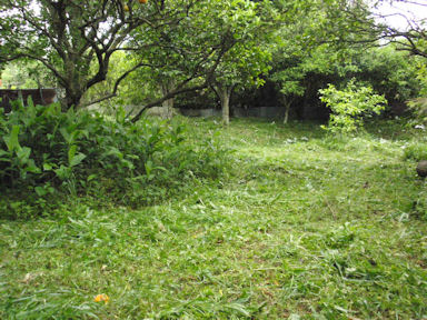 f:id:chuumeikun:20160530052319j:plain f:id:chuumeikun:20160530052319j:plain