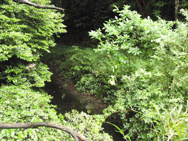 f:id:chuumeikun:20160608023040j:plain